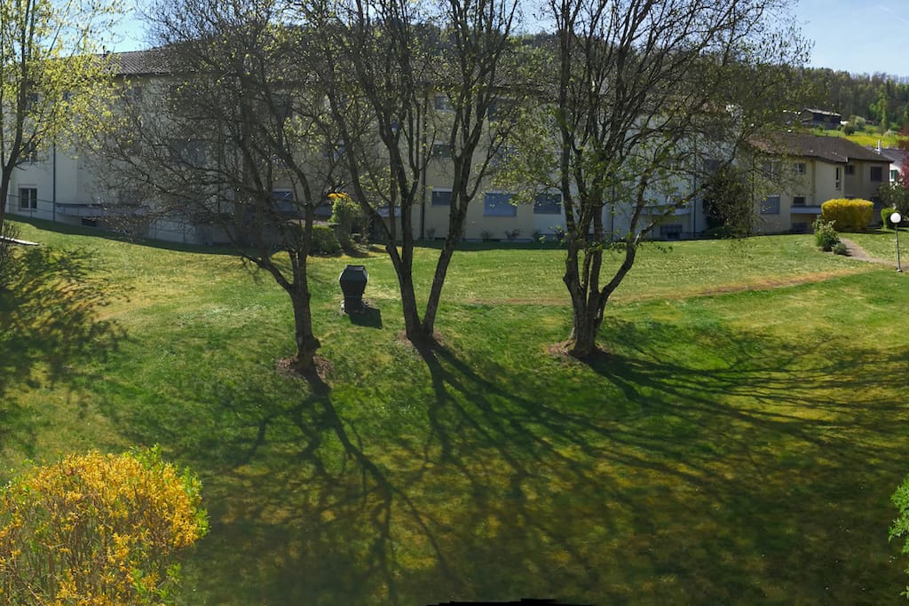 Sicht auf den Garten