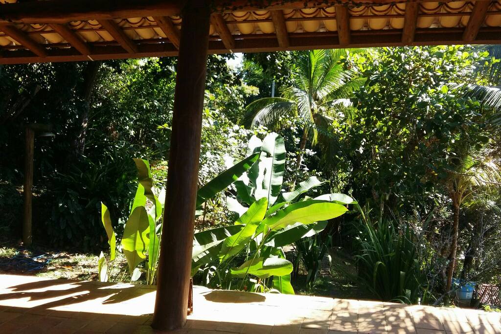 Área verde com chuveirão
