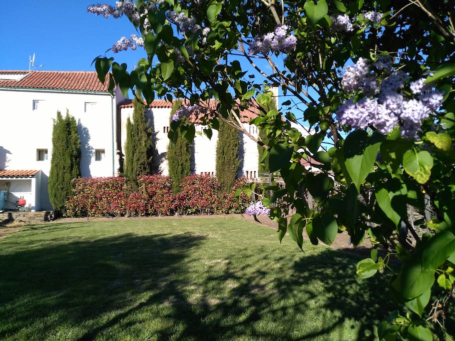 Jardim