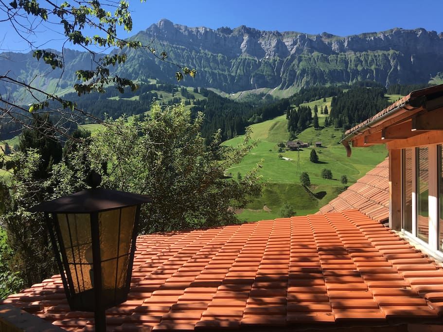 New Winter Garden Roof view from Terrasse