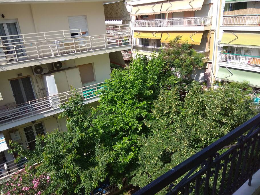 Balkony Garden