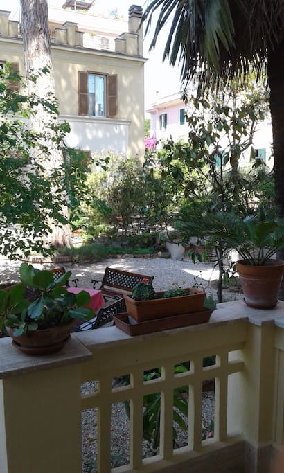 the house from the garden