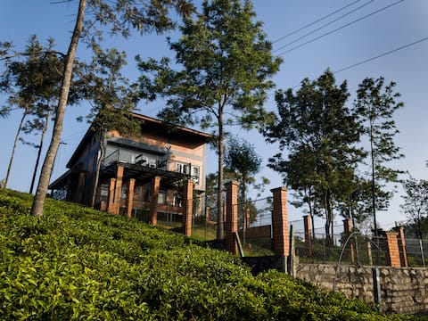 A Walk in the Clouds