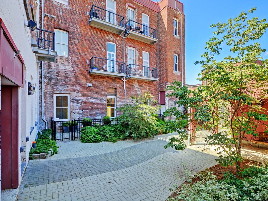 Private courtyard in the back