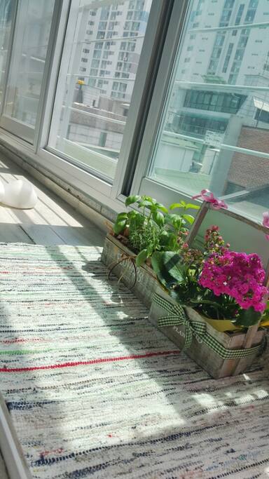 Shinny Terrace