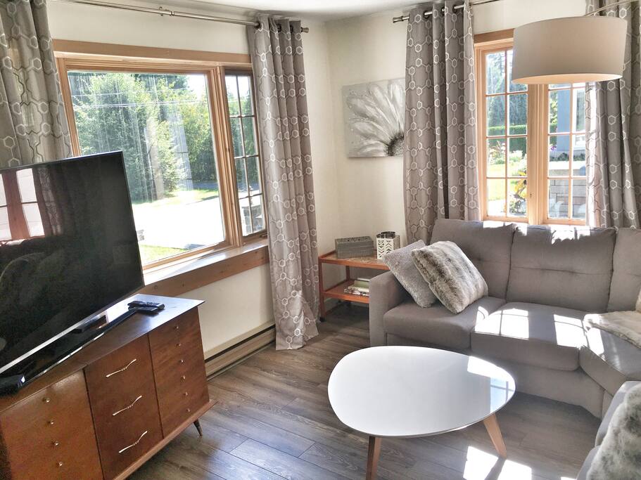 Comfy sofas with big TV
