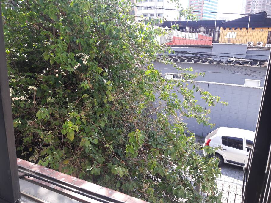 Avista da janela dá para uma linda Primavera que tem constante visita de beija- flores....