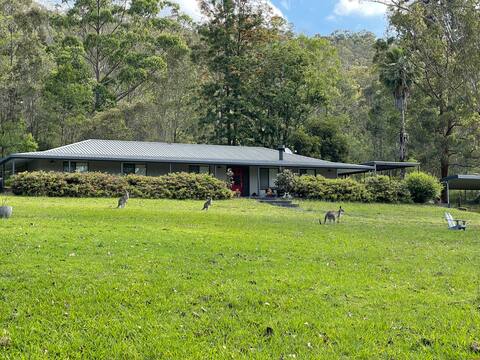 Silver Tree Farm