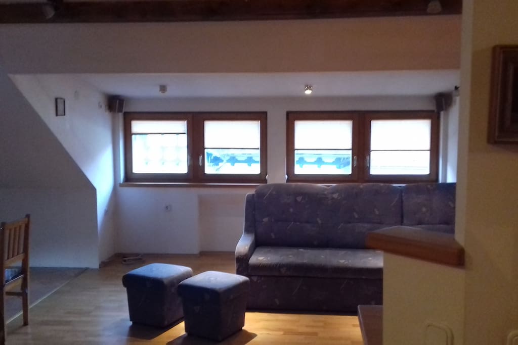 Living room with a sofa bed