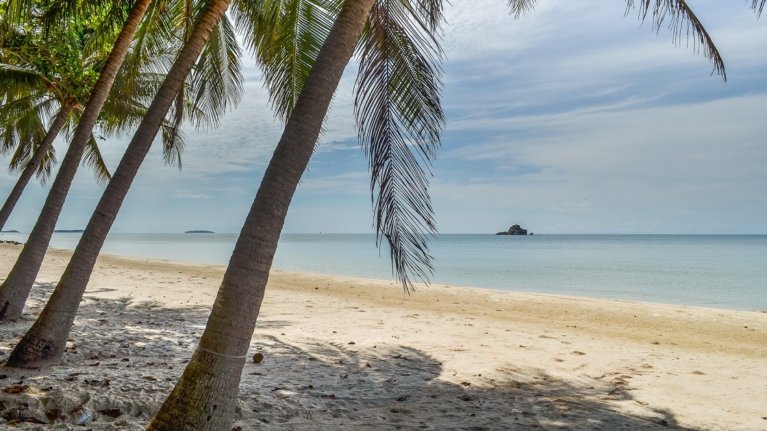 A serene beach scene is depicted with several palm trees leaning towards the sandy shore. The calm sea stretches in the background, while a small island can be seen in the distance under a clear sky.