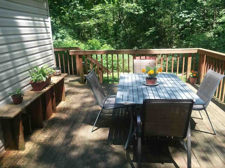 Top 8 PetFriendly Cabins Near The Mohican River, Ohio Updated 2024