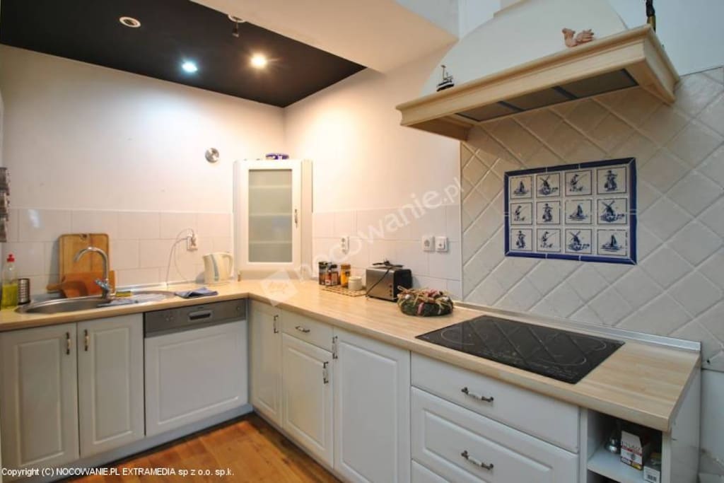 apartament Litteris Kuchnia