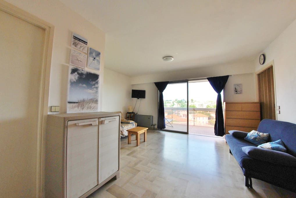 Spacieux séjour, très lumineux avec canapé lit (2 couchages)