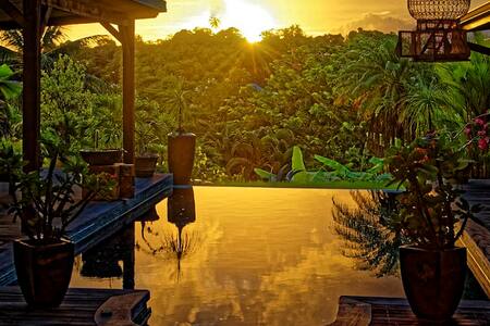 bungalow piscine détente confort