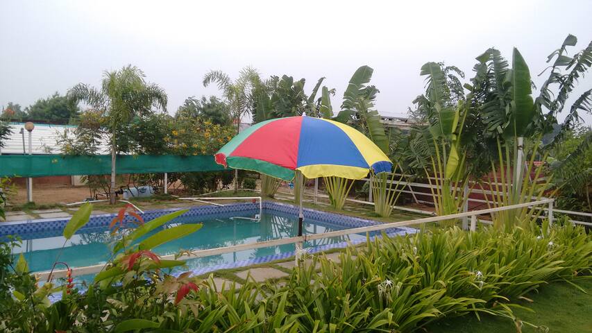 Farm house stay- near Hyderabad (Pool temp closed) - Houses for Rent in
