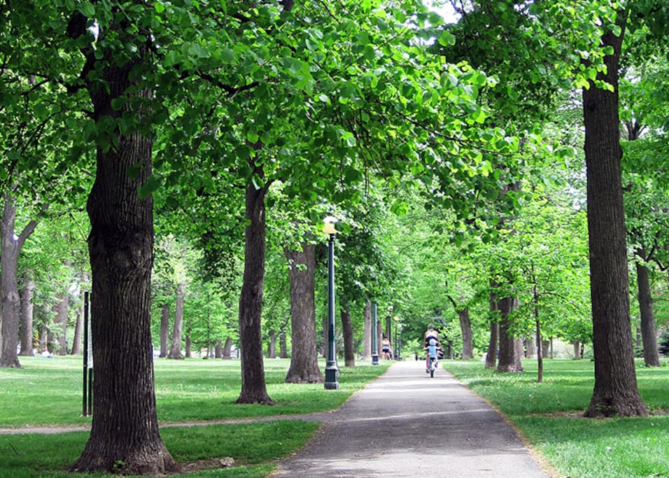 Cheesman Park is less than 2 blocks away!