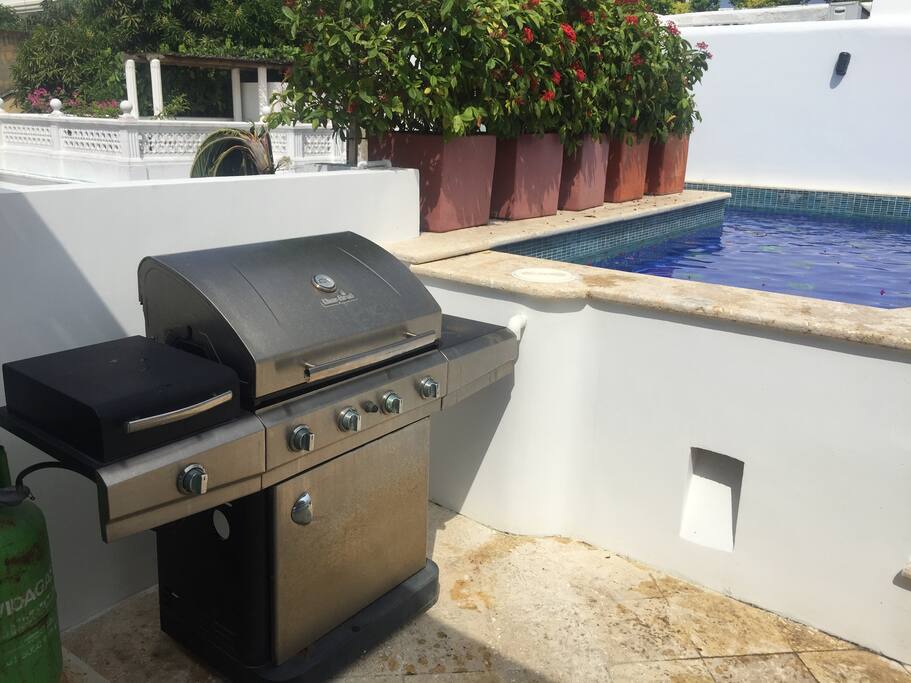 Gas BBQ