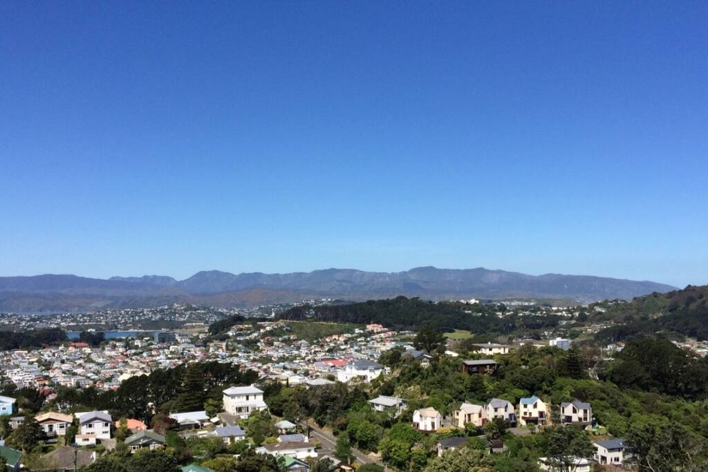 View!