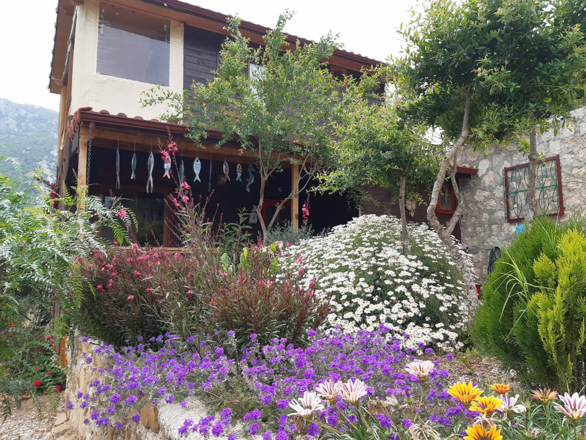 Mini holiday house (M&M) Adrasan