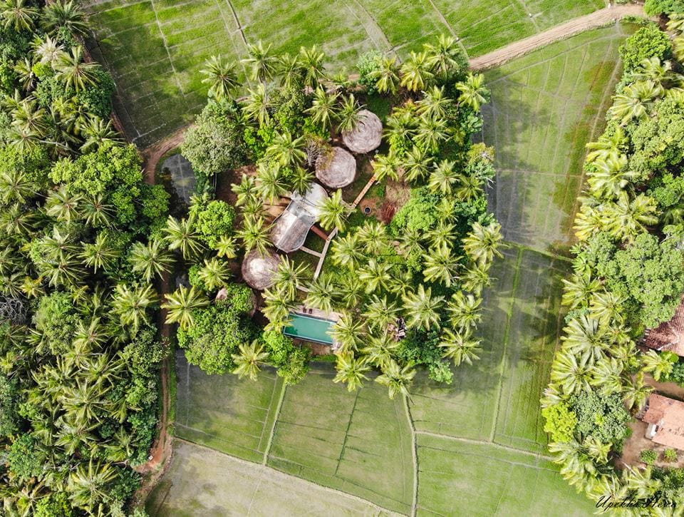 An aerial view captures a villa surrounded by lush greenery and rice paddies. The buildings have thatched roofs, nestled among palm trees, with a swimming pool visible in the center of the lush landscape.