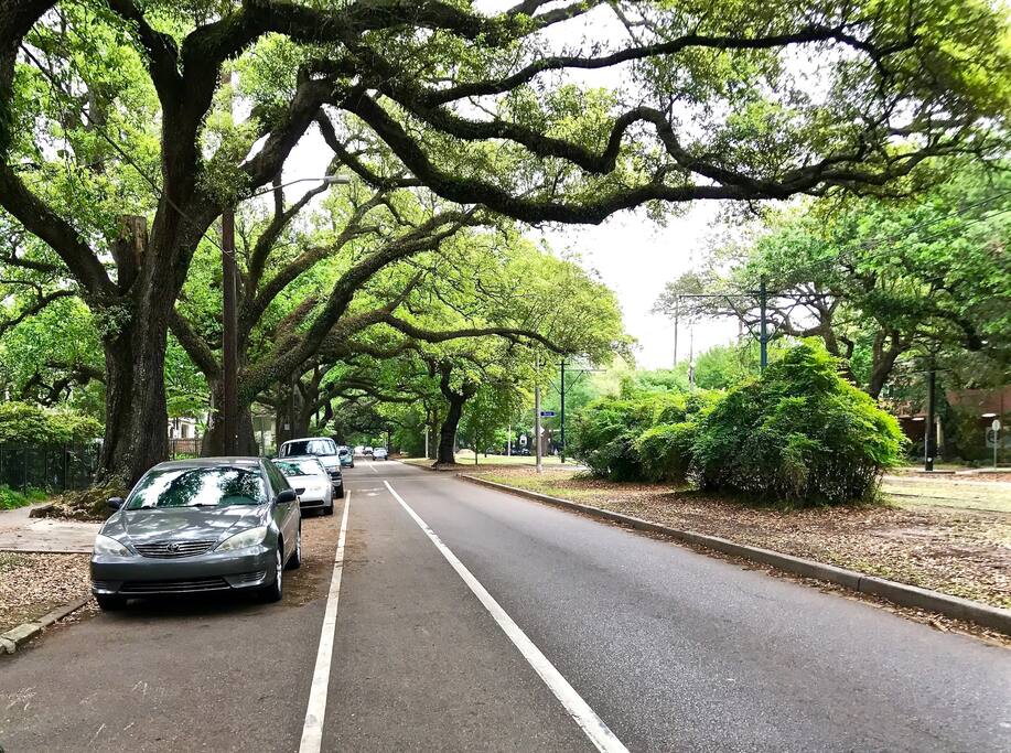 Street view in front of the house. Bike lane and street car stop right across the street.