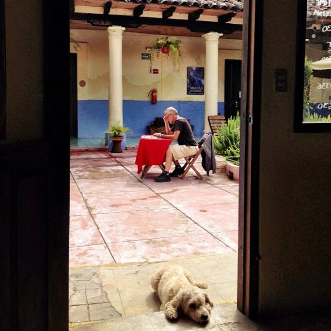 Relax en el Patio
