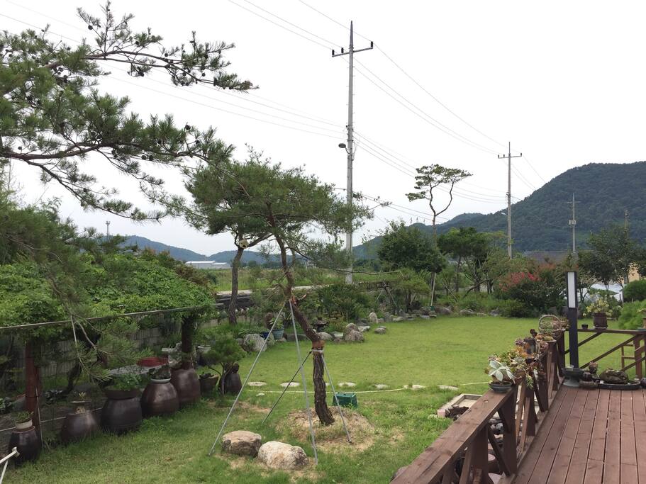 마당풍경입니다. 마당앞에는 강둑길이 있습니다