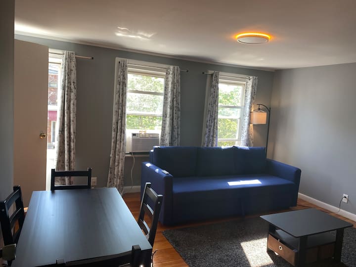 Spacious One Bedroom Suite. Short Walk To Subway - Brooklyn, NY