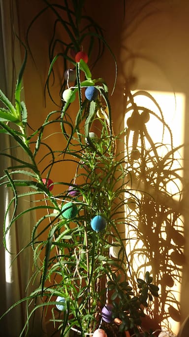 Its not a christmas tree, some people thought it might be!