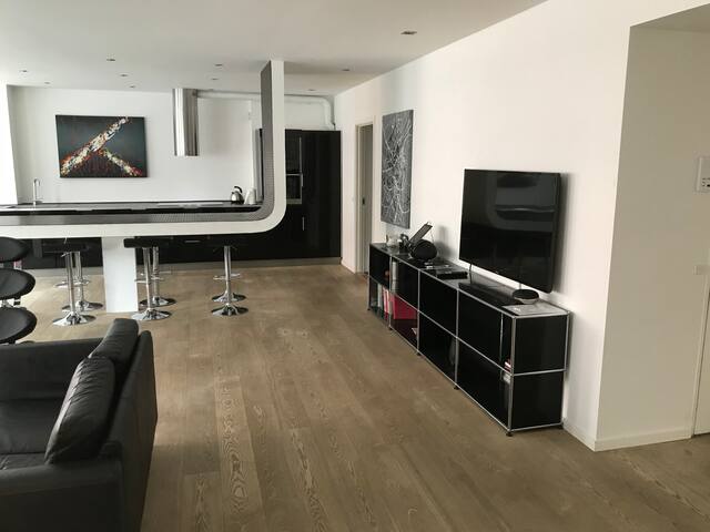 160 qm apartment in central Copenhagen City gallery image 3