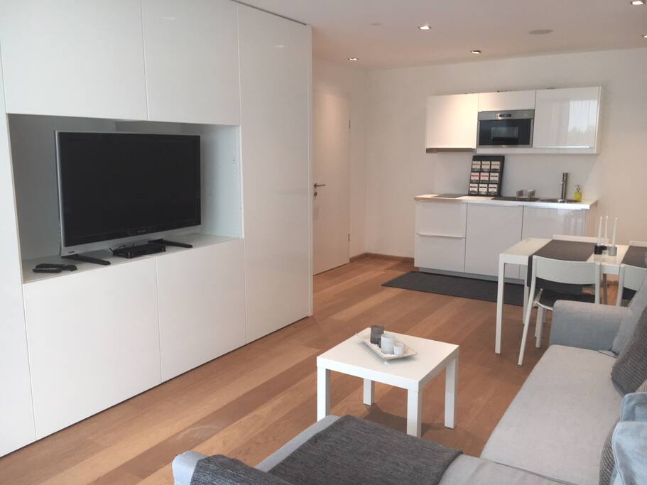 TV in Living Room
