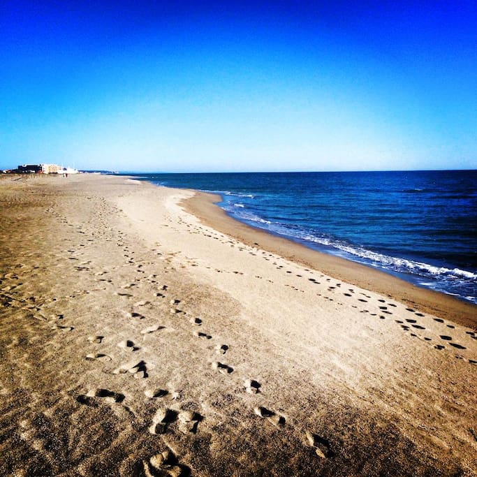 les vastes plages