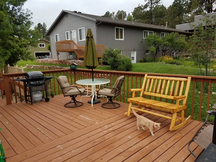Propane grill and tools