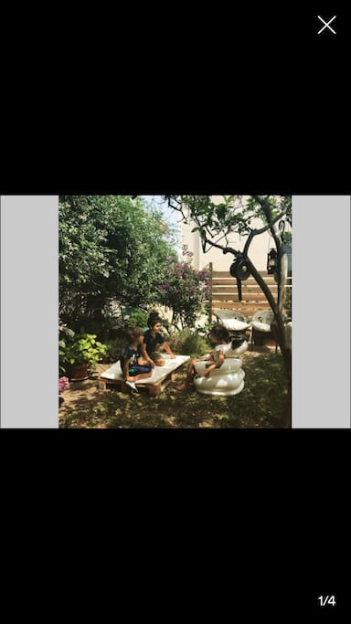 The garden