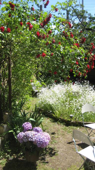 Aux beaux jours, vous pourrez prendre votre petit déjeuner dans le jardin.