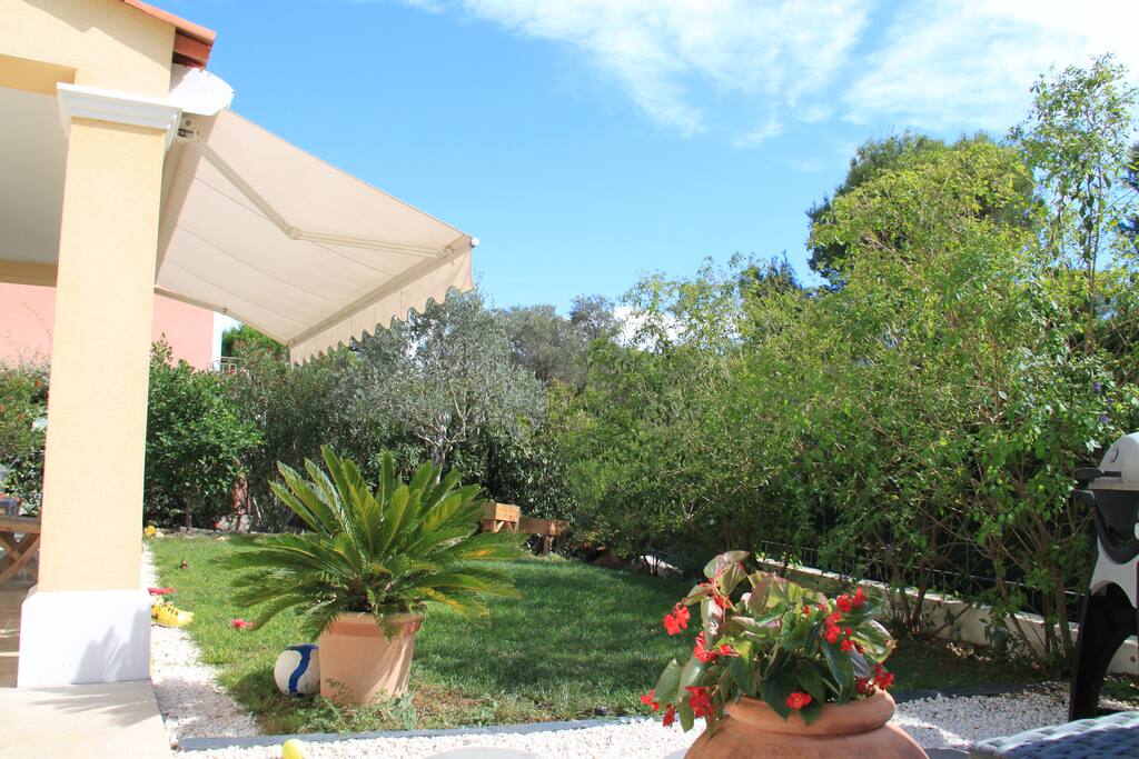 vue jardin