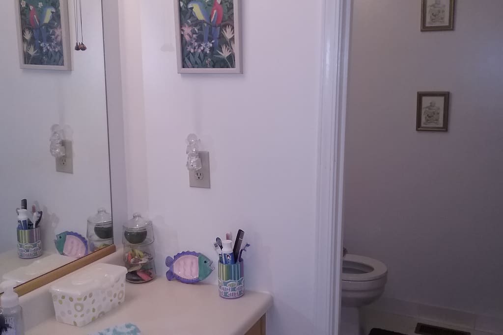 Upstairs bath room separate sink/wash area