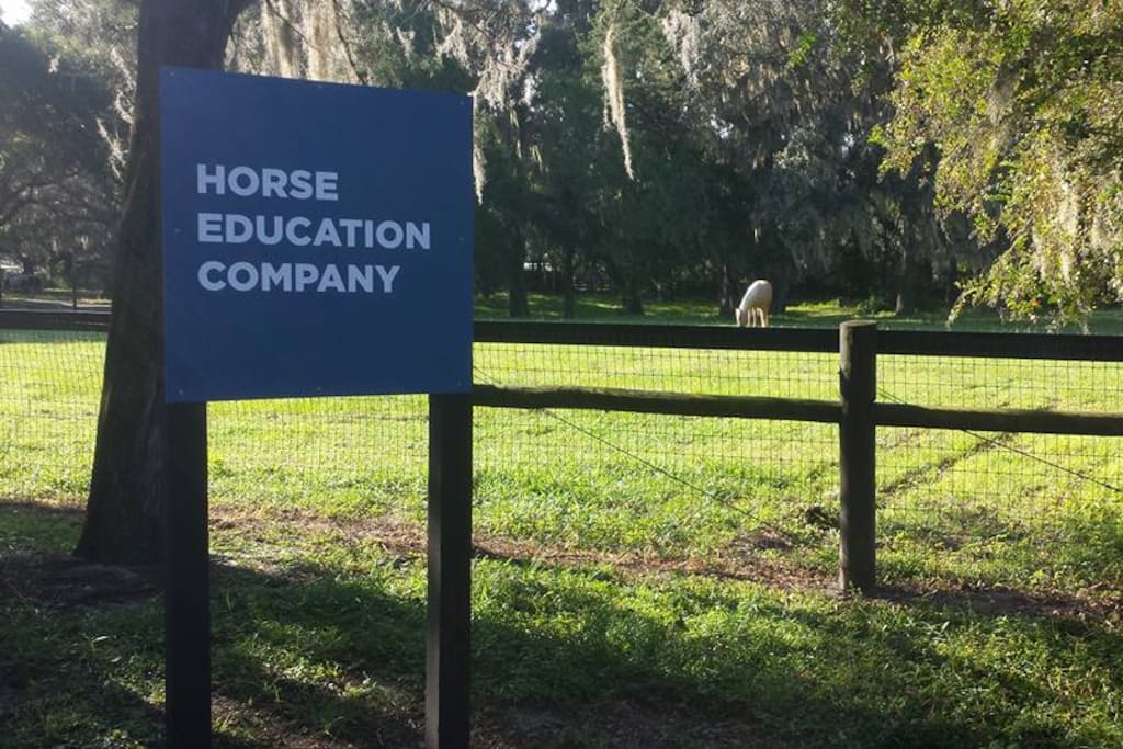We are horse and dog friendly