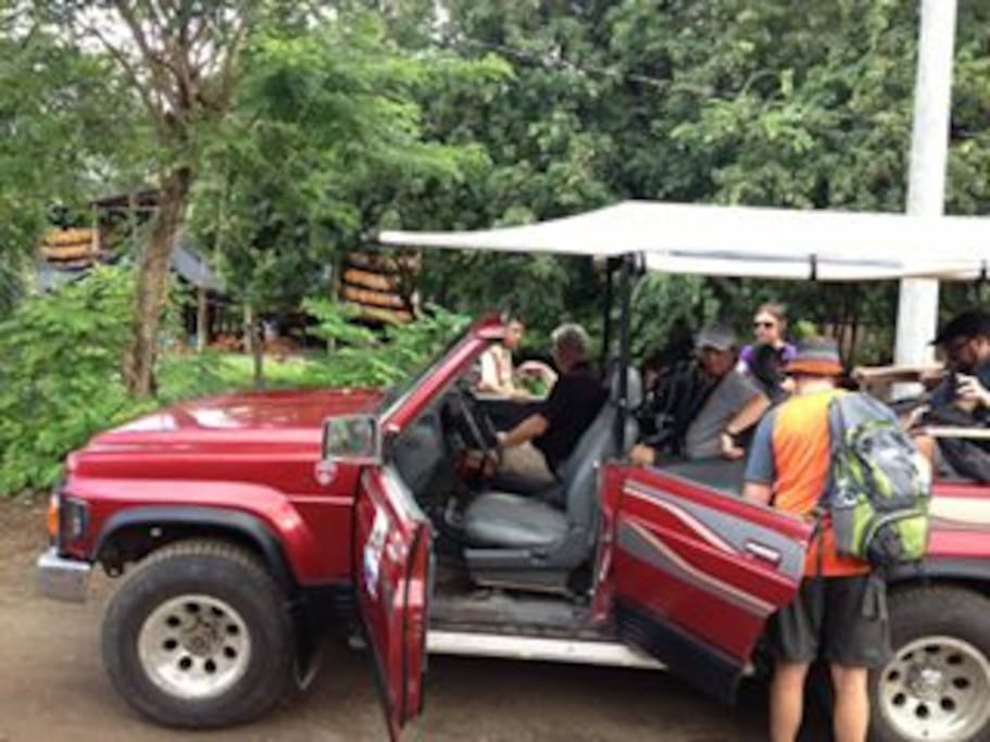 Safari Tours
