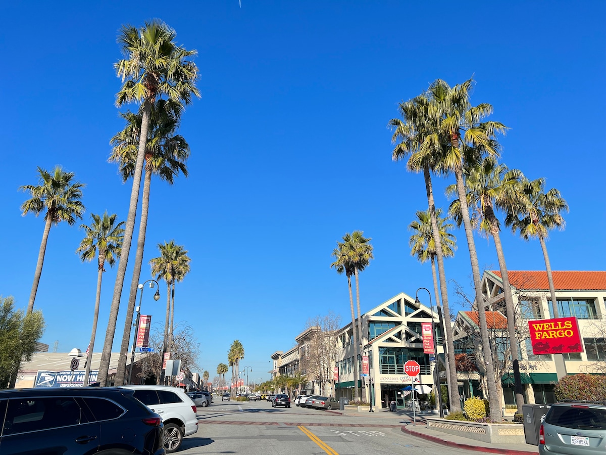 A sunlit street scene is presented, lined with tall palm trees reaching towards a clear blue sky. Small shops and a bank with recognizable signage are visible along the road, adding to the urban charm of the area.