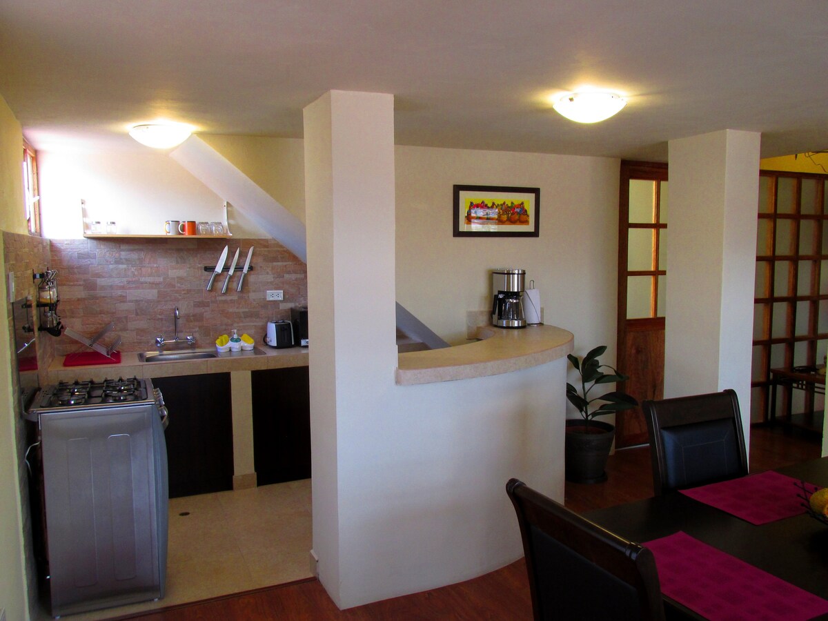 The kitchen area features modern appliances, including a gas stove and coffee maker, set against a warm, neutral backdrop. A dining table with four black chairs is positioned nearby. Natural light is provided by windows, enhancing the room's brightness.