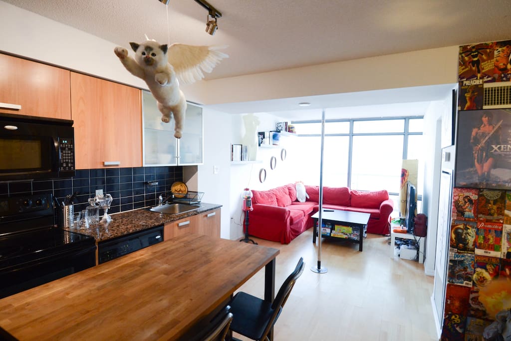 Kitchen and living area- complete with flying cat and stripper pole!