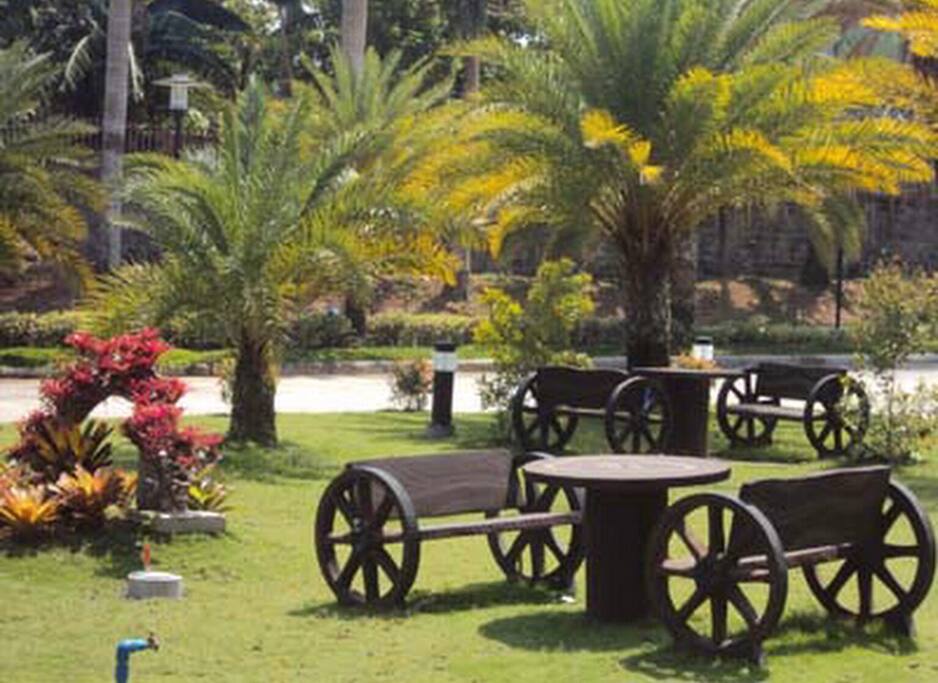 The garden