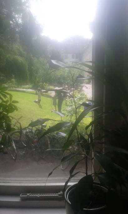 Innergård sommar