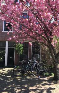 Cosy and peaceful house in the center of Utrecht