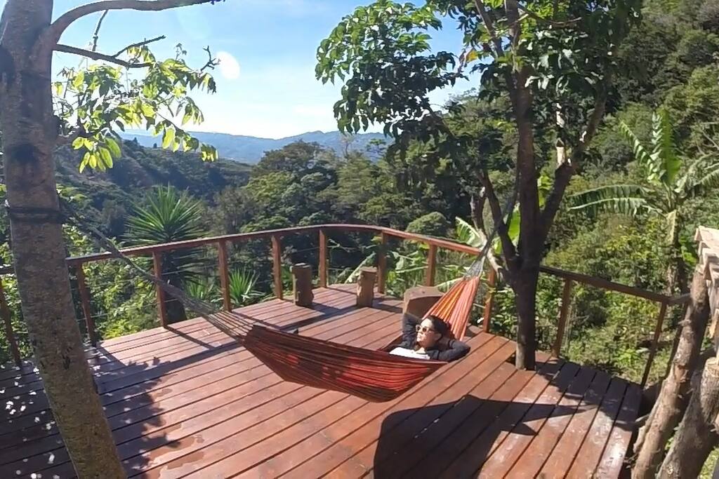 Decks with hammock.