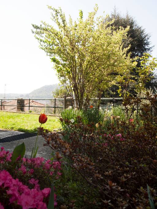 Giardino