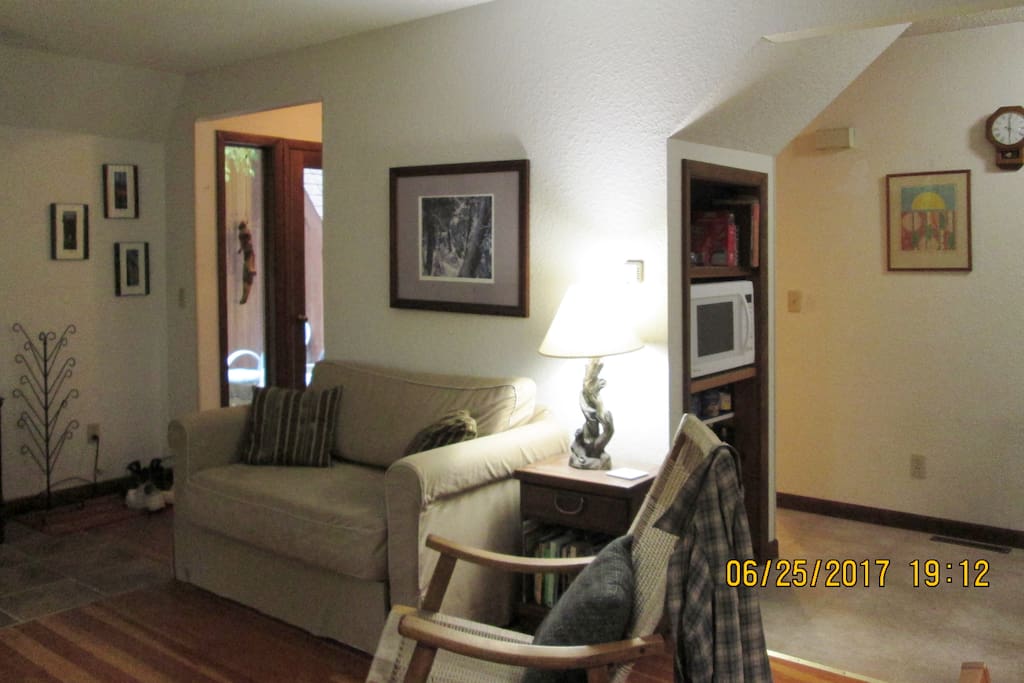 Living room - pull out couch/double bed