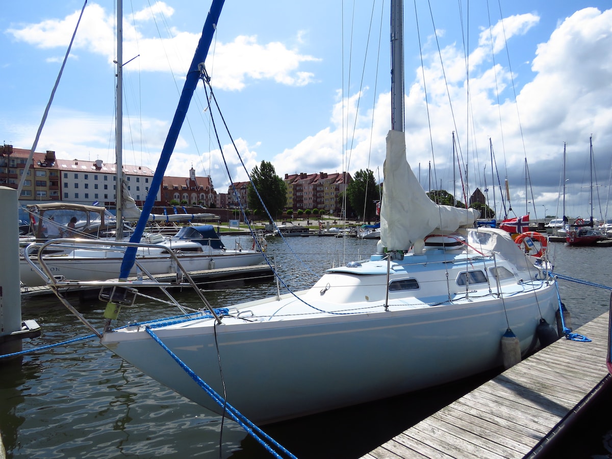 A sailboat is docked at the marina, showcasing a streamlined design with a white hull and a covered cockpit. The surrounding water reflects the blue sky, while several other boats and the marina's buildings are visible in the background.