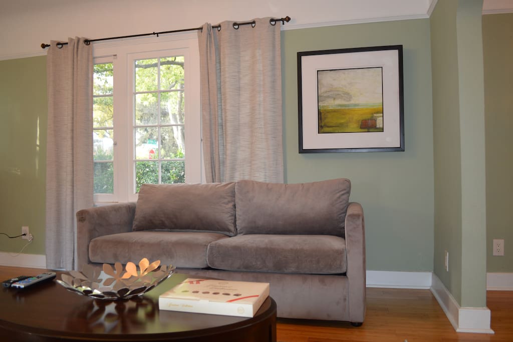 Couch/Pull out Bed